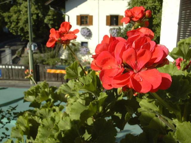 Hotel Gasthof Wastl Appiano Sulla Strada Del Vino Exterior foto